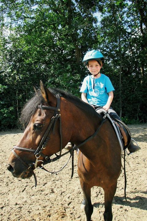 Stage sportif – photo 98