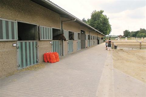 Stage sportif – photo 86